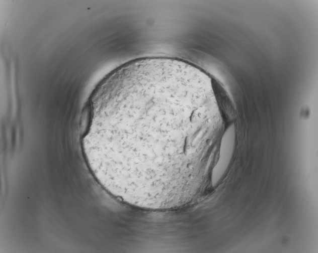 X0000091331480200709071146