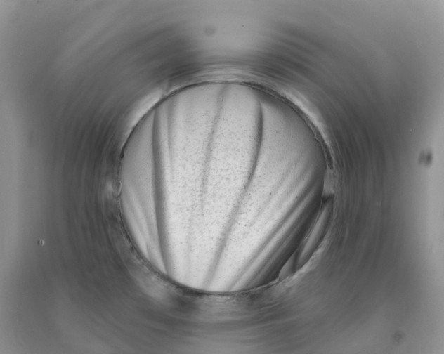 X0000091331481200709071146