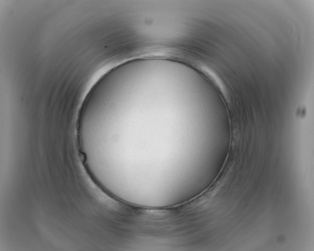 X0000091331483200709071146