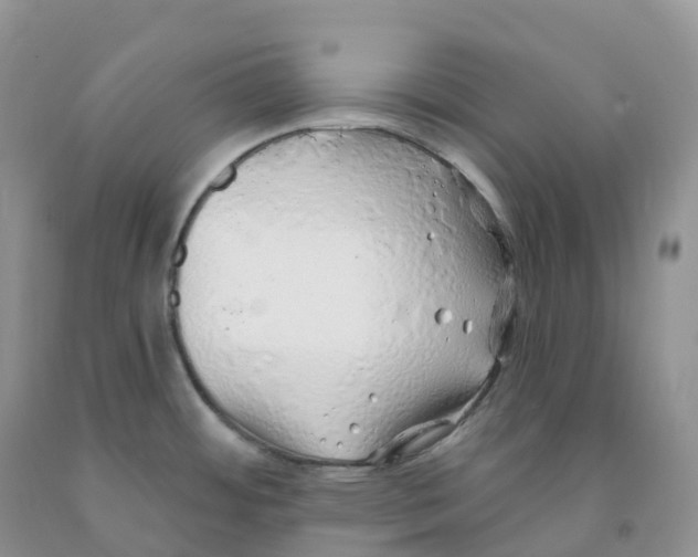 X0000091331484200709071146