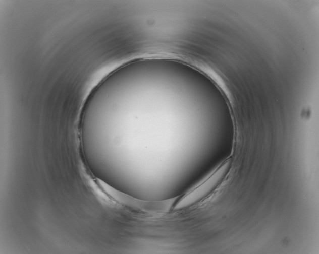 X0000091331485200709071146