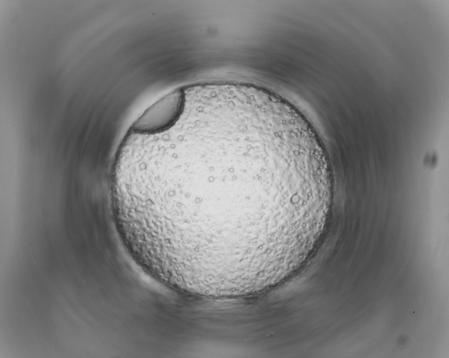 X0000091331486200709071146