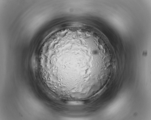 X0000091331487200709071146