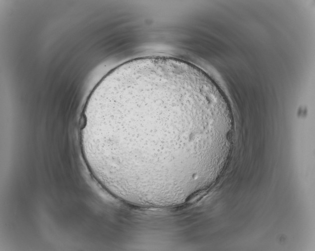 X0000091331488200709071146