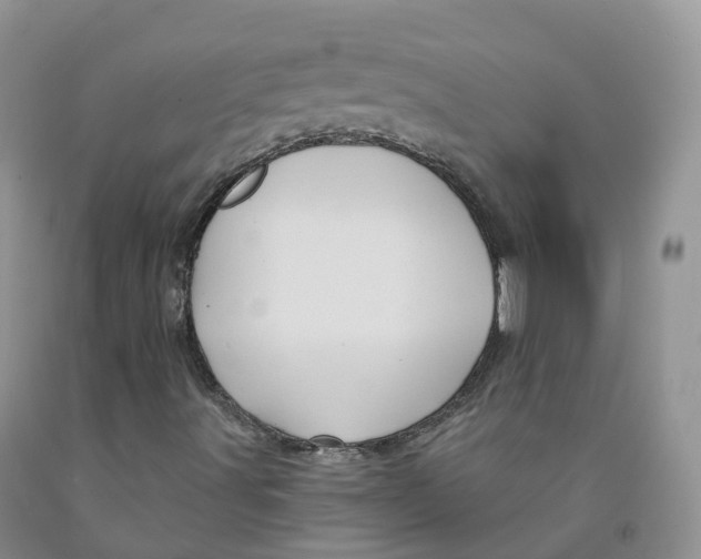 X0000091331491200709071145