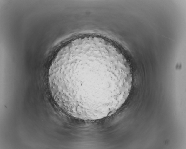 X0000091331494200709071145