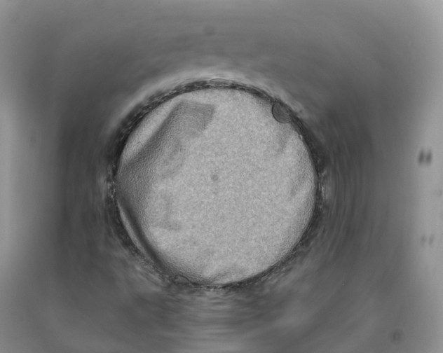 X0000091331495200709071145