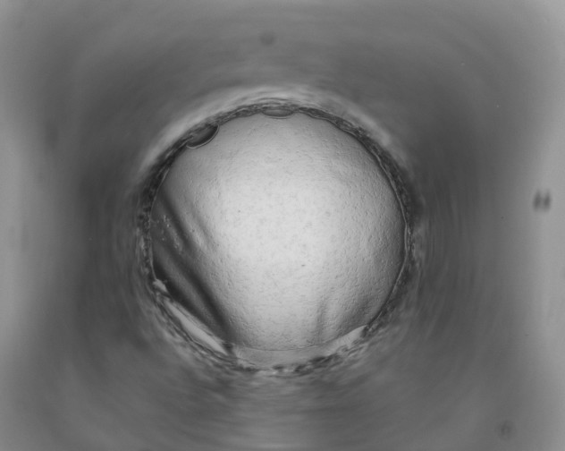X0000091331496200709071145