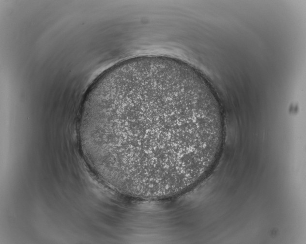 X0000091331497200709071145
