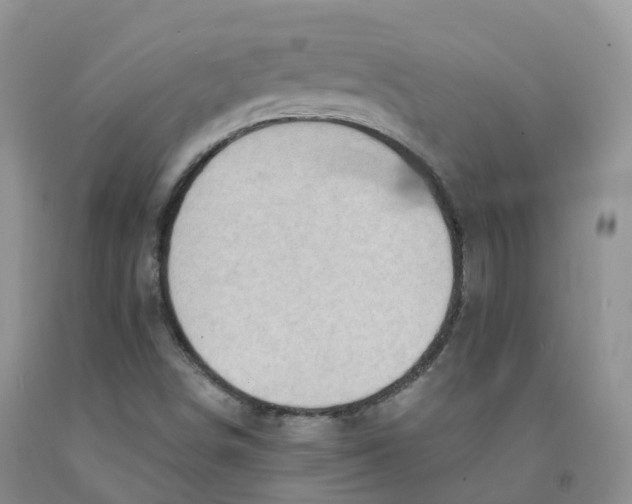 X0000091331498200709071145