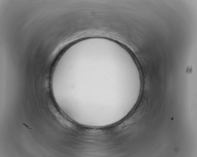 X0000091331499200709071145