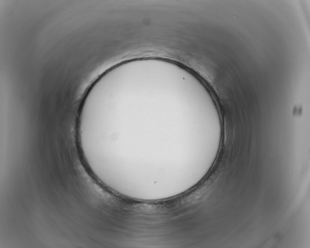 X0000091331500200709071146