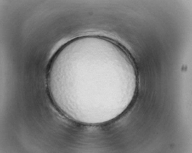 X0000091331501200709071146