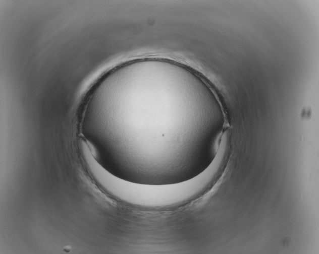 X0000091331502200709071146