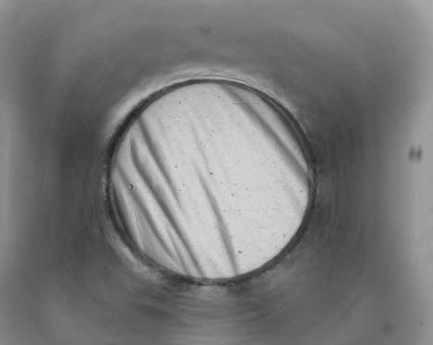 X0000091331503200709071146