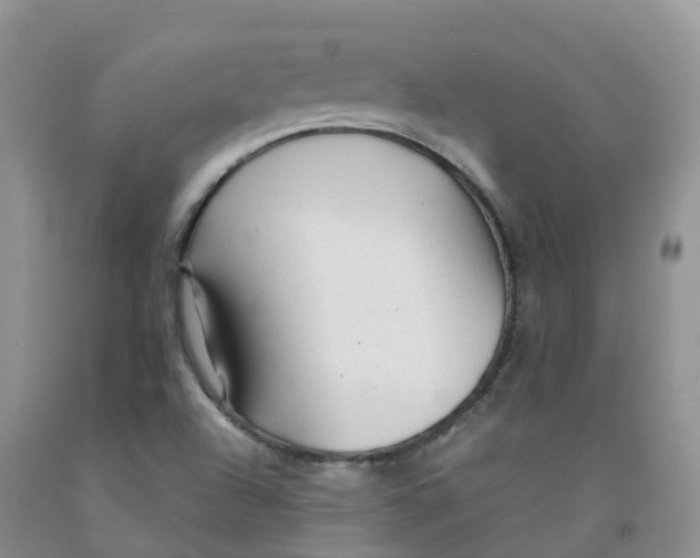 X0000091331504200709071146