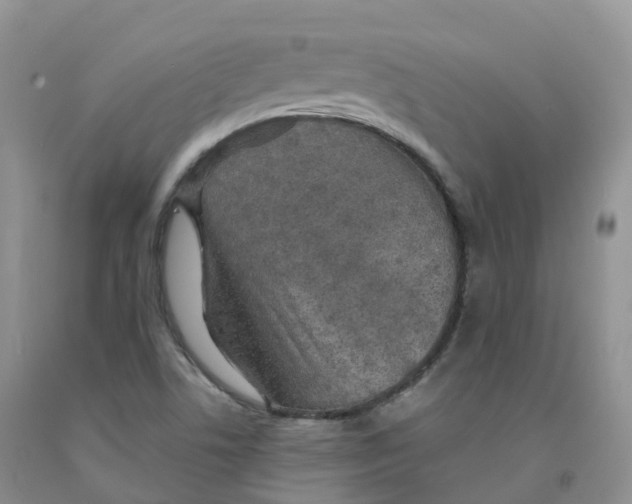 X0000091331506200709071146