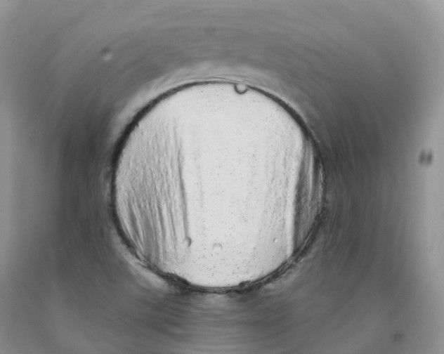 X0000091331507200709071146