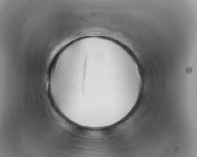 X0000091331509200709071146