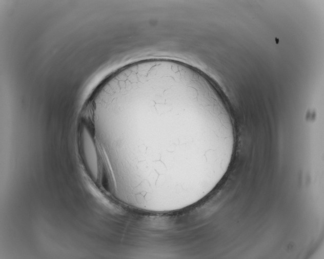 X0000091331511200709071146