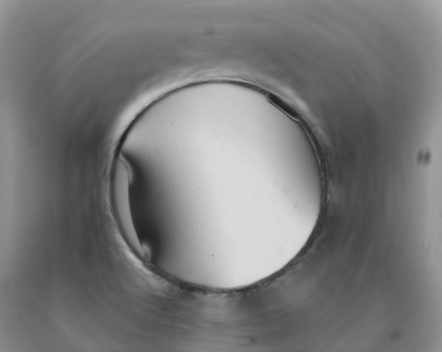 X0000091331512200709071146