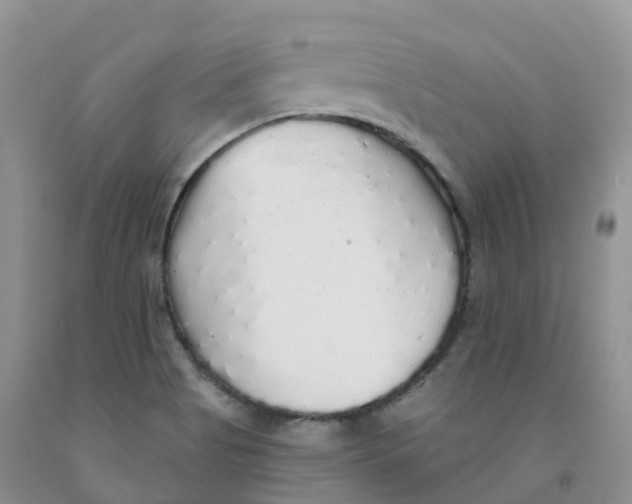 X0000091331513200709071146