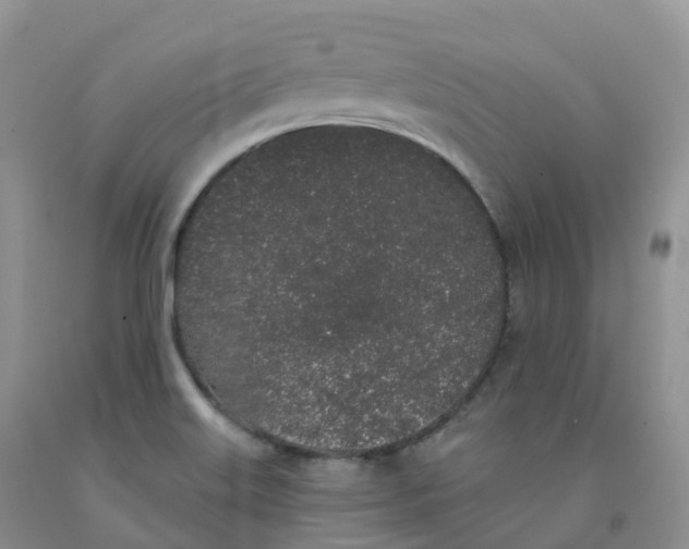 X0000091331515200709071146
