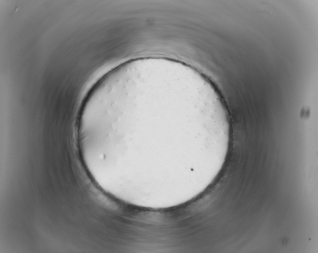 X0000091331517200709071146