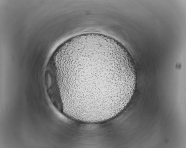 X0000091331519200709071146