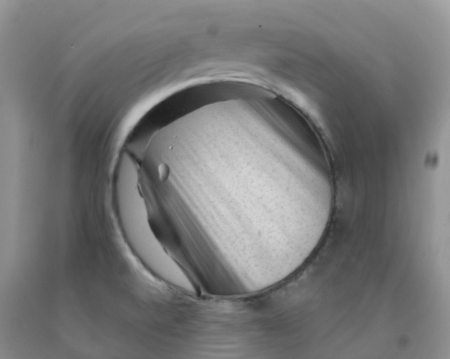 X0000091331520200709071146