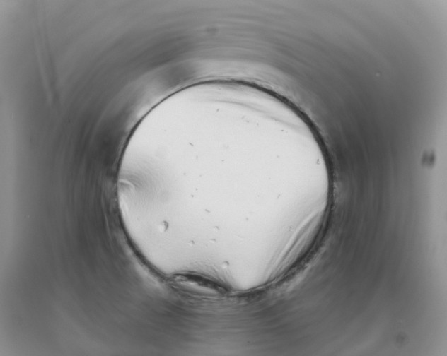 X0000091331521200709071146