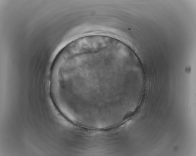 X0000091331522200709071146