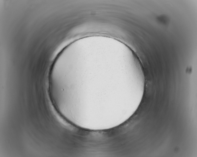 X0000091331523200709071146