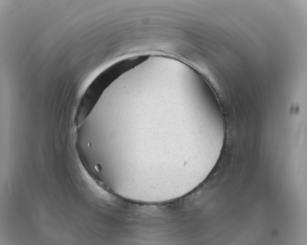 X0000091331524200709071146