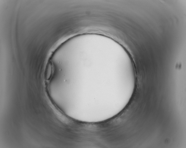 X0000091331525200709071146