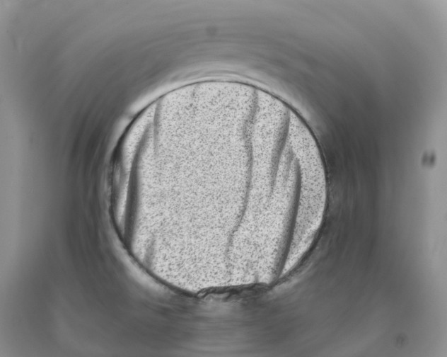 X0000091331526200709071146