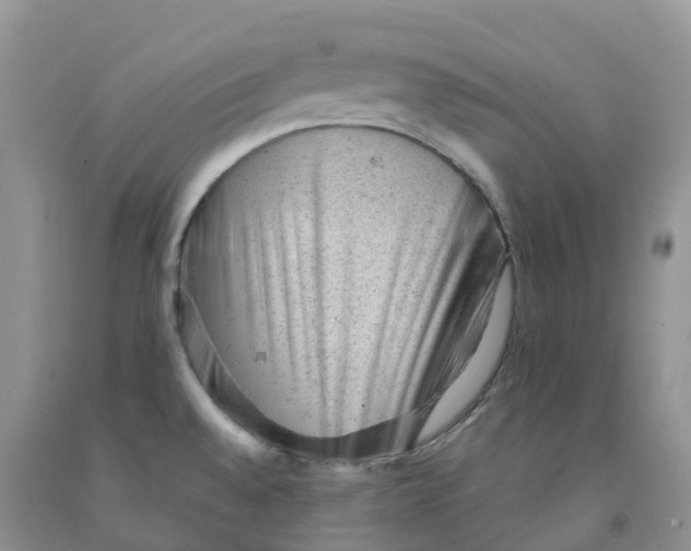 X0000091331528200709071146