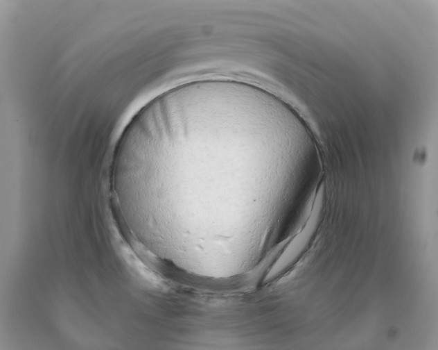 X0000091331530200709071146