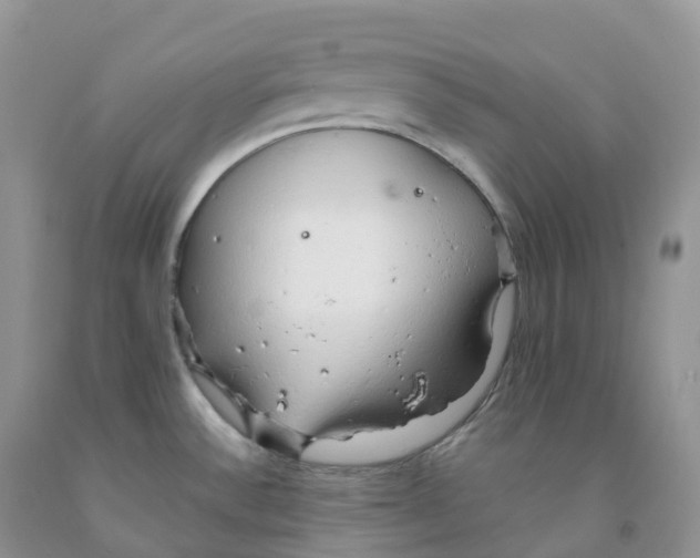 X0000091331532200709071146