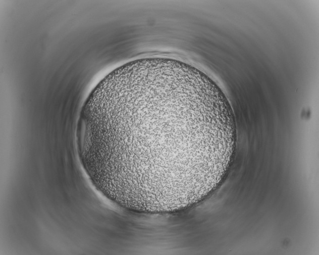 X0000091331533200709071146