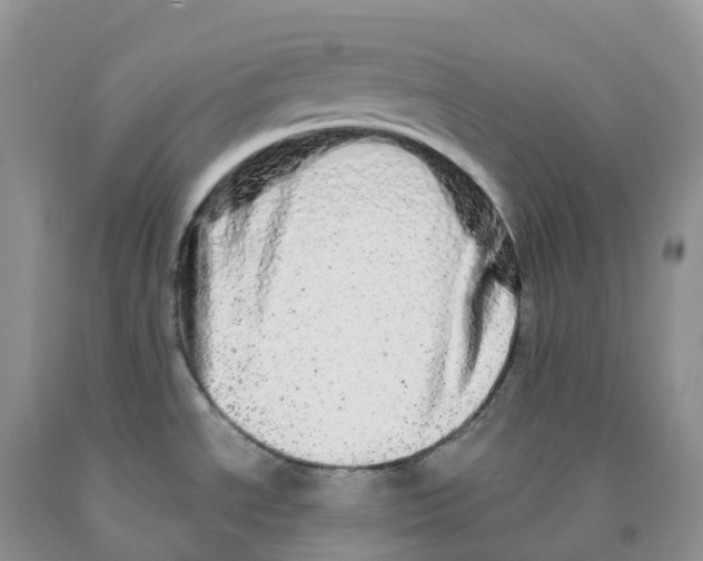 X0000091331534200709071146