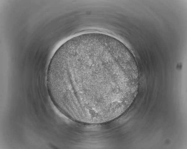 X0000091331535200709071146