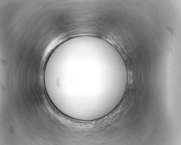 X0000091340004200708101027