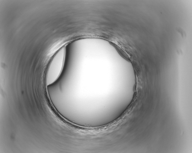 X0000091340005200708101027
