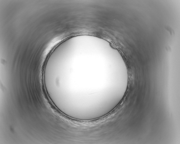 X0000091340006200708101027