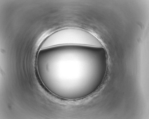 X0000091340007200708101027