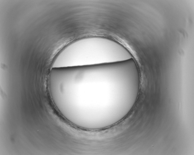 X0000091340010200708101027