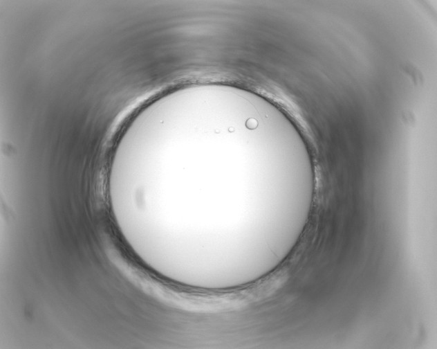 X0000091340012200708101027