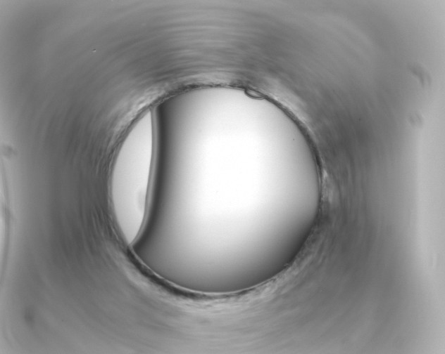 X0000091340013200708101027