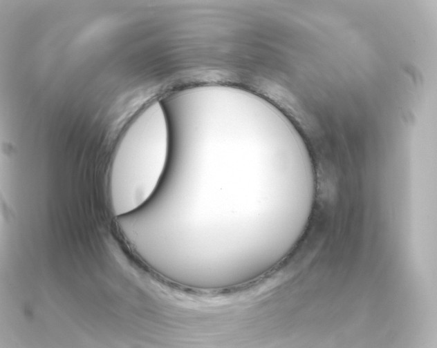 X0000091340014200708101027